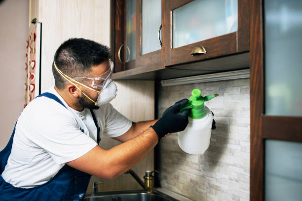 Best Pest Prevention Services  in Cottonwood, AL