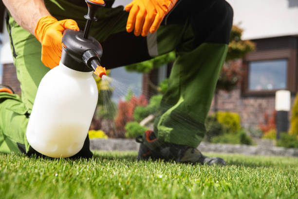 Best Termite Control Services  in Cottonwood, AL