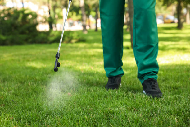 Best Wasp Removal Services  in Cottonwood, AL