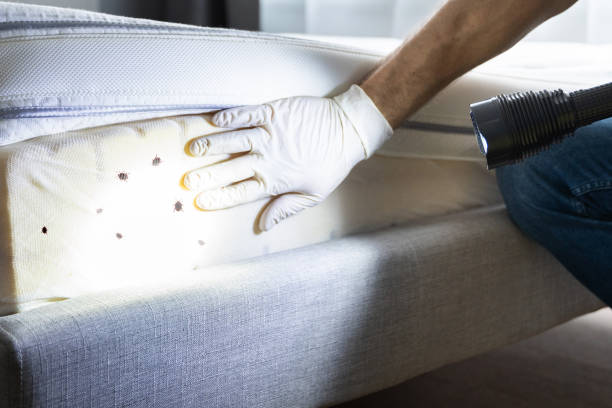 Best Emergency Pest Control  in Cottonwood, AL