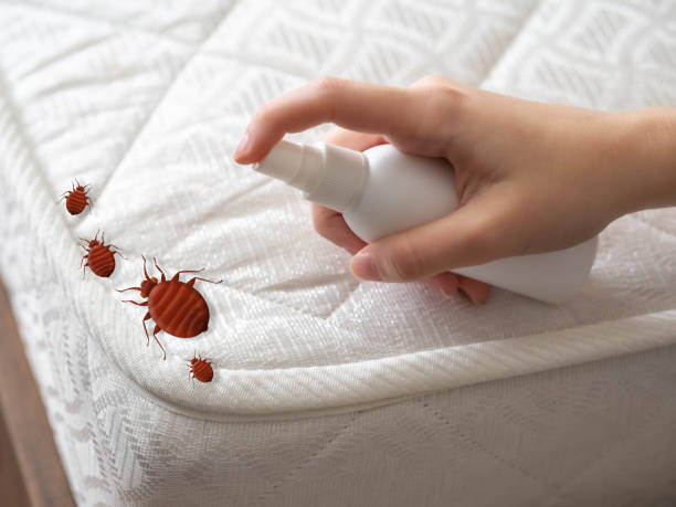 Professional Pest Control in Cottonwood, AL