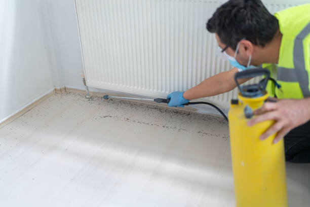 Best Insect Control  in Cottonwood, AL
